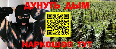амф Гусь-Хрустальный